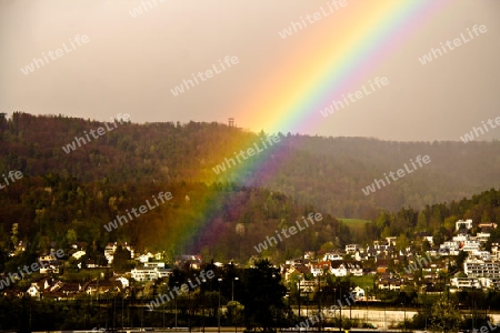 Regenbogen