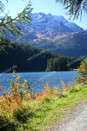 Herbsstimmung am Champfersee