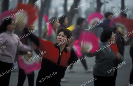 people making Tai Chi in the morning in the city of Chengdu in the provinz Sichuan in centrall China.