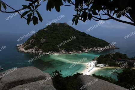 Die Strand und Insellandschaft auf der Insel Koh Naang Yuan neben der Insel Ko Tao im Golf von Thailand im Suedwesten von Thailand in Suedostasien.