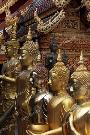 Die Architektur des Wat Phra That Doi Suthep Tempel in Chiang Mai im Norden von Thailand.