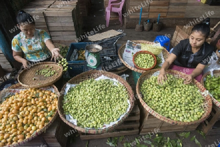 a fruit market in a Market near the City of Yangon in Myanmar in Southeastasia.