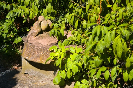 Steinvogel im Garten