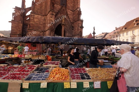 the market in the old town of Freiburg im Breisgau in the Blackforest in the south of Germany in Europe.