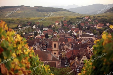 the olt town of the village of Riquewihr in the province of Alsace in France in Europe