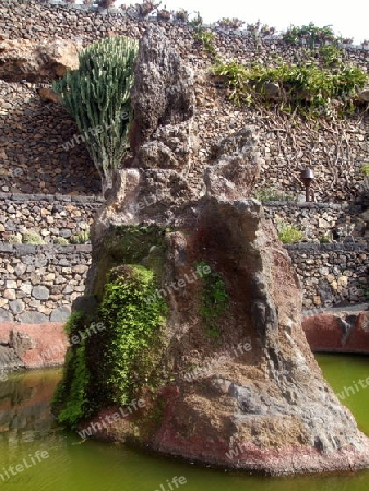 Lanzarote,Skulptur im Kakteen-Garten von Cesar Manrique,Kunstwerk,