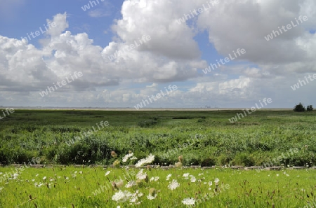 Blick ?ber das Vorland zur Nordsee