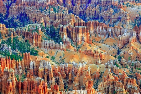 Felsformationen und Hoodoos, Bryce Canyon bei Sonnenaufgang, Bryce Point, Utah, Suedwesten, USA