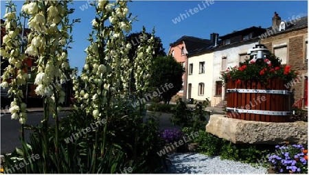 Dorfplatz mit Weinkelter