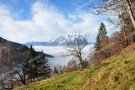 Blick auf den Grimming