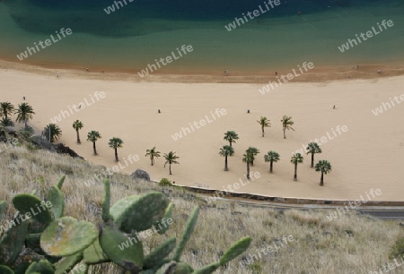 The Playa de las Teresitas at the village of San Andrea on the Island of Tenerife on the Islands of Canary Islands of Spain in the Atlantic.  