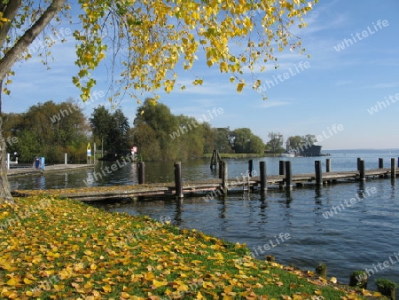 Herbst am  Schweriner See