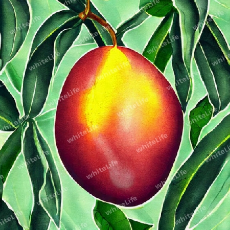 mango