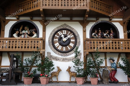 A shop of kuckuck Clock watch in the village of Triberg in the Blackforest in the south of Germany in Europe.