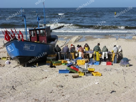 Die Heringsfischer, Insel Wolin