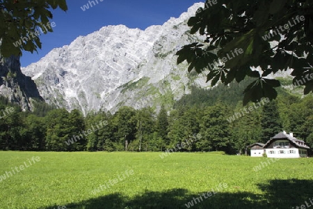 Watzmann Ostwand von St. Bertholom?