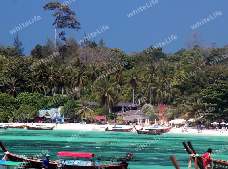 Insel Koh Lipe