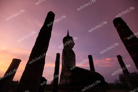 Eine Buddha Figur  im Wat Mahathat Tempel in der Tempelanlage von Alt-Sukhothai in der Provinz Sukhothai im Norden von Thailand in Suedostasien.