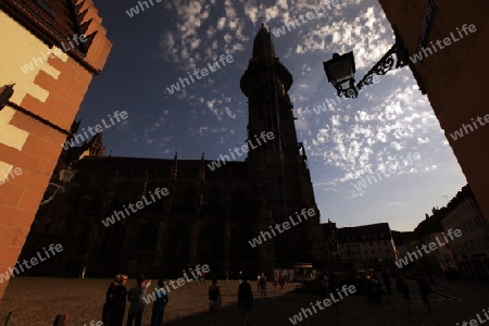  the muenster church in the old town of Freiburg im Breisgau in the Blackforest in the south of Germany in Europe.