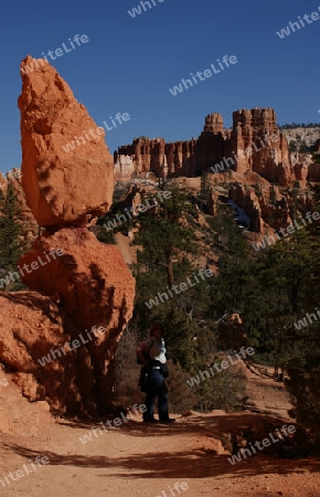 Bryce Canyon USA