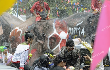 Das Songkran Fest oder Wasserfest zum Thailaendischen Neujahr ist im vollem Gange in Ayutthaya noerdlich von Bangkok in Thailand in Suedostasien.  