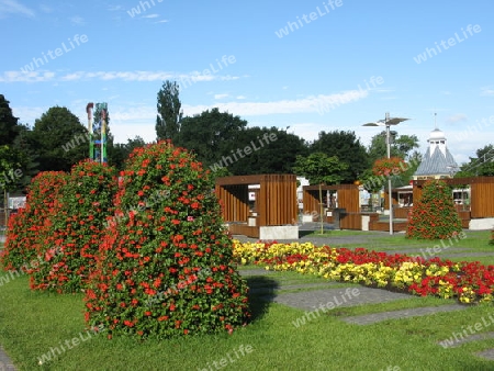 Park im Seebad Miedzyzdroje, Insel Wolin