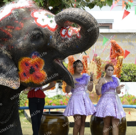 Das Songkran Fest oder Wasserfest zum Thailaendischen Neujahr ist im vollem Gange in Ayutthaya noerdlich von Bangkok in Thailand in Suedostasien.  