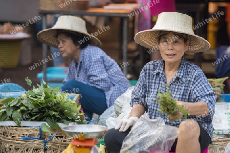 fegetable at the morning Market in Nothaburi in the north of city of Bangkok in Thailand in Southeastasia.