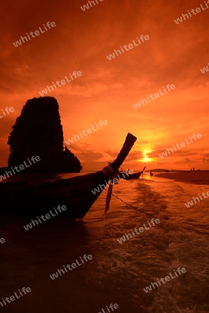 The Hat Phra Nang Beach at Railay near Ao Nang outside of the City of Krabi on the Andaman Sea in the south of Thailand. 