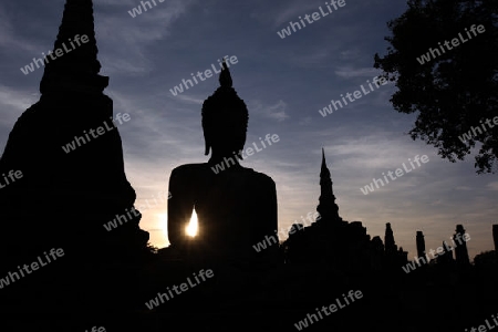 Eine Buddha Figur  im Wat Mahathat Tempel in der Tempelanlage von Alt-Sukhothai in der Provinz Sukhothai im Norden von Thailand in Suedostasien.