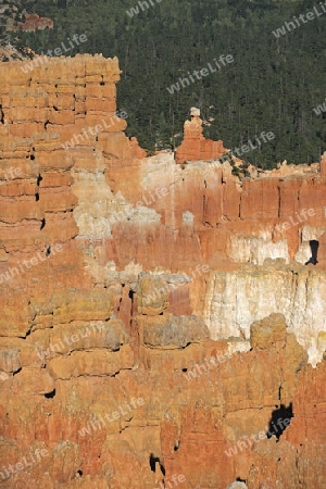 Felsformationen und Hoodoos im Bryce Canyon bei Sonnenuntergang, Sunset Point, Utah, Suedwesten , USA