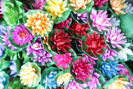 plastic flowers at a shop at the Chatuchak weekend market in the city of Bangkok in Thailand in Suedostasien.