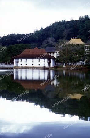 Asien, Indischer Ozean, Sri Lanka,
Der Kandy Lake im Stadtzentrum von Kandy im Zentralen Gebierge von Sri Lanka. (URS FLUEELER)








