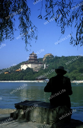 the summer palace in the city of beijing in the east of china in east asia. 