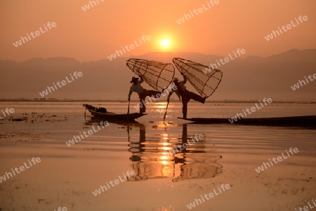 Fishermen at sunrise in the Landscape on the Inle Lake in the Shan State in the east of Myanmar in Southeastasia.