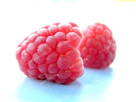 Himbeeren