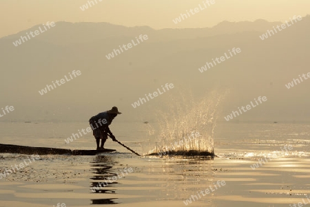 A fishingboat on the Lake Inle near the town of Nyaungshwe at the Inle Lake in the Shan State in the east of Myanmar in Southeastasia.