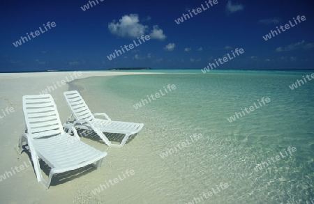 
Der Traumstrand mit Palmen und weissem Sand an der Insel Velavaru im Southmale Atoll auf den Inseln der Malediven im Indischen Ozean.   