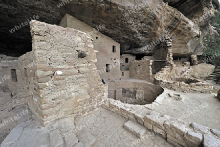 "Spruce Tree House" der indianischen Ureinwohner, ca. 800 Jahre alt, Mesa Verda NP, UNESCO Weltkulturerbe, Colorado, USA