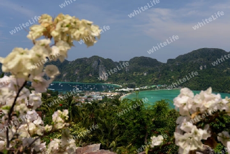 The view from the Viewpoint on the Town of Ko PhiPhi on Ko Phi Phi Island outside of the City of Krabi on the Andaman Sea in the south of Thailand. 