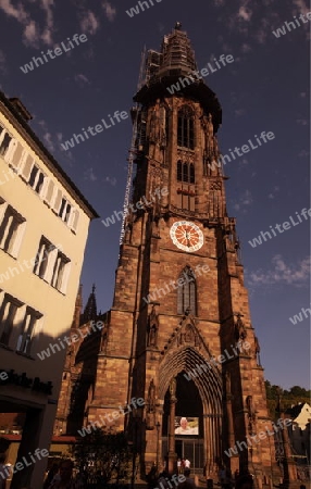  the muenster church in the old town of Freiburg im Breisgau in the Blackforest in the south of Germany in Europe.