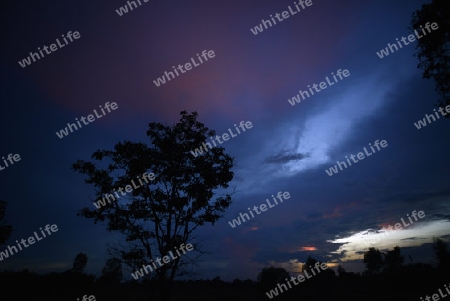 Die Abendstimmung in der Provinz Amnat Charoen nordwestlich von Ubon Ratchathani im nordosten von Thailand in Suedostasien.