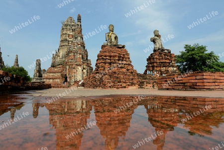 The Wat Chai Wattanaram Temple in City of Ayutthaya in the north of Bangkok in Thailand, Southeastasia.