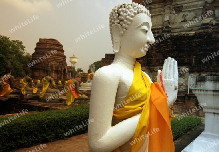 Der Wat Yai Chai Tempel in der Tempelstadt Ayutthaya noerdlich von Bangkok in Thailand.