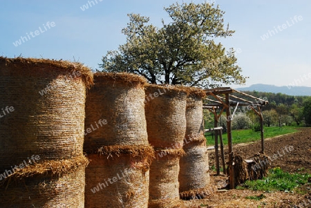 Verpackte Strohballen