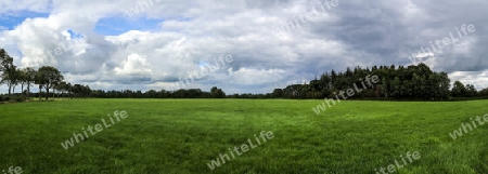 Beautiful high resolution panorama of a northern european country landscape with fields and green grass.