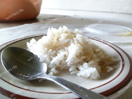 Rice Breakfast