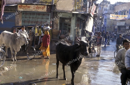 the city centre of  Jodhpur in the province of Rajasthan in India.