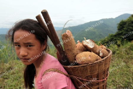 Menschen in der Landschaft in der Bergregion beim Dorf Kasi an der Nationalstrasse 13 zwischen Vang Vieng und Luang Prabang in Zentrallaos von Laos in Suedostasien.  