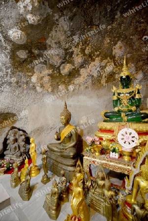 The Temple Wat Tham Seau outside the City centre of Krabi on the Andaman Sea in the south of Thailand. 